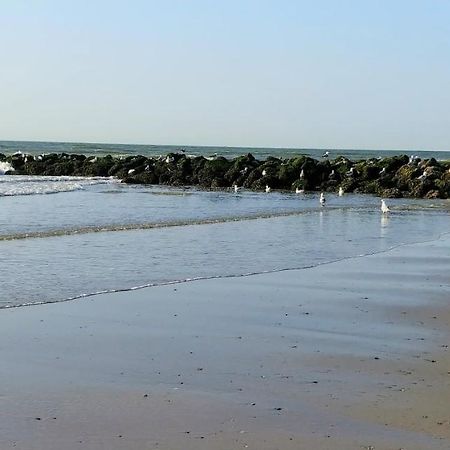 Sunny Bank Westende Zeezicht Middelkerke Bagian luar foto
