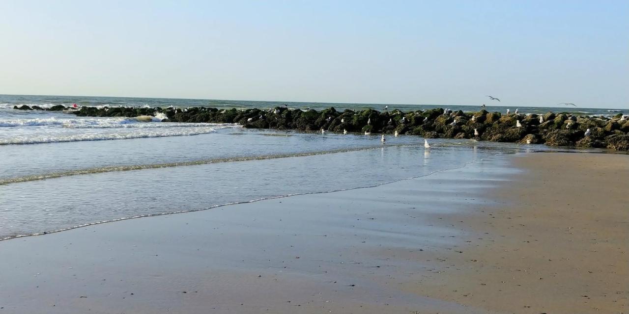 Sunny Bank Westende Zeezicht Middelkerke Bagian luar foto